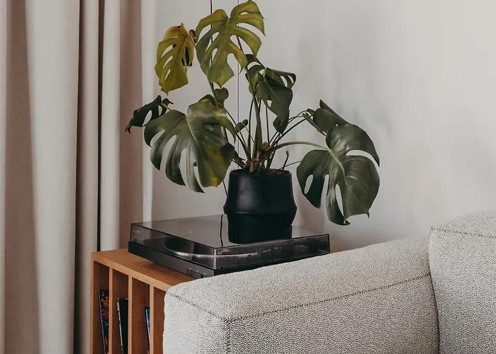 Moderne Порто-Веккіо